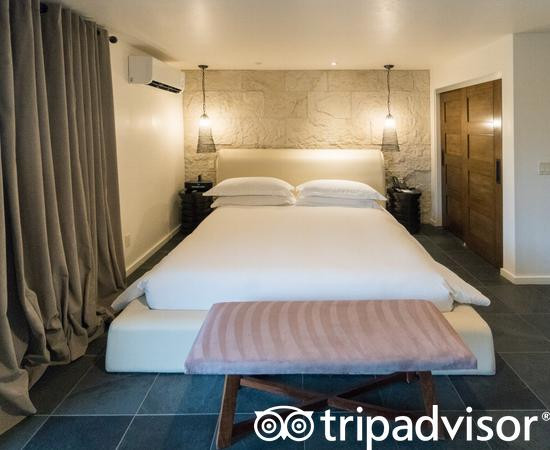 Two Bunch Palms主图