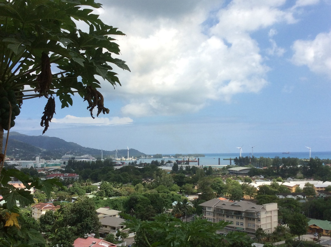 The Ridge Residence主图