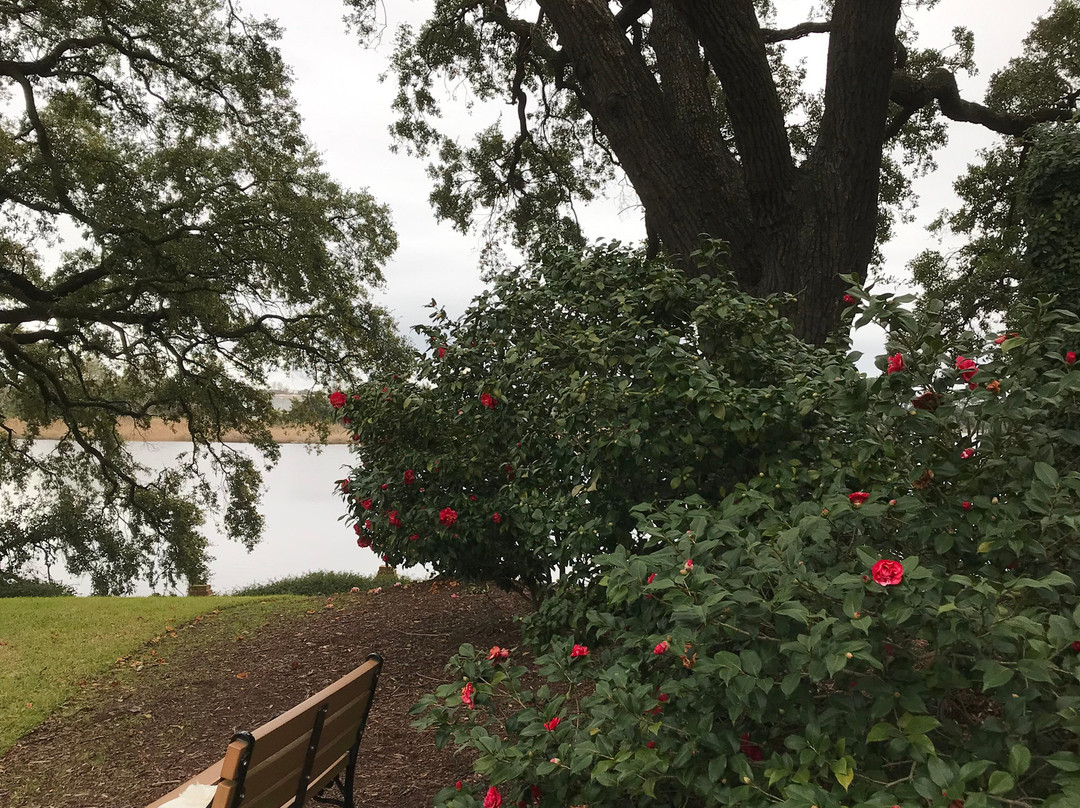 Baxter's Brewhouse Inn主图