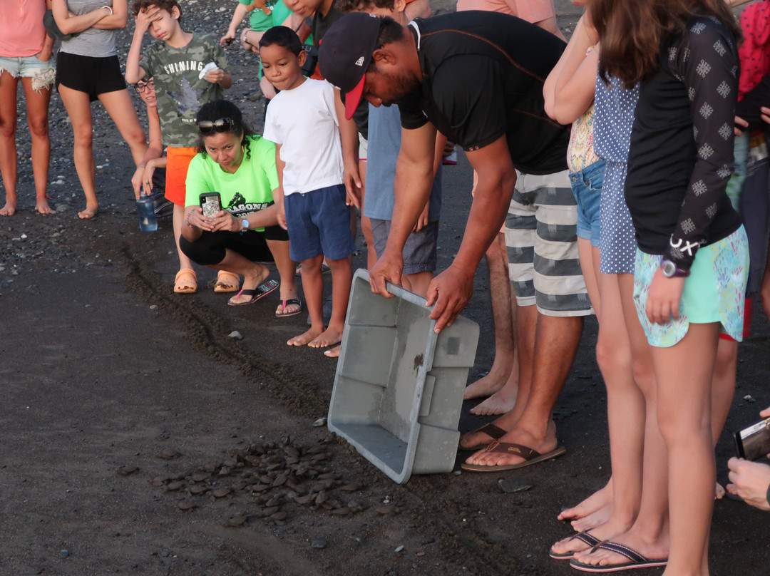 Hotel Playa Cambutal主图