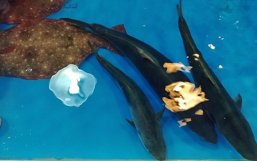 Sam Suhyup-泗川市必去景点