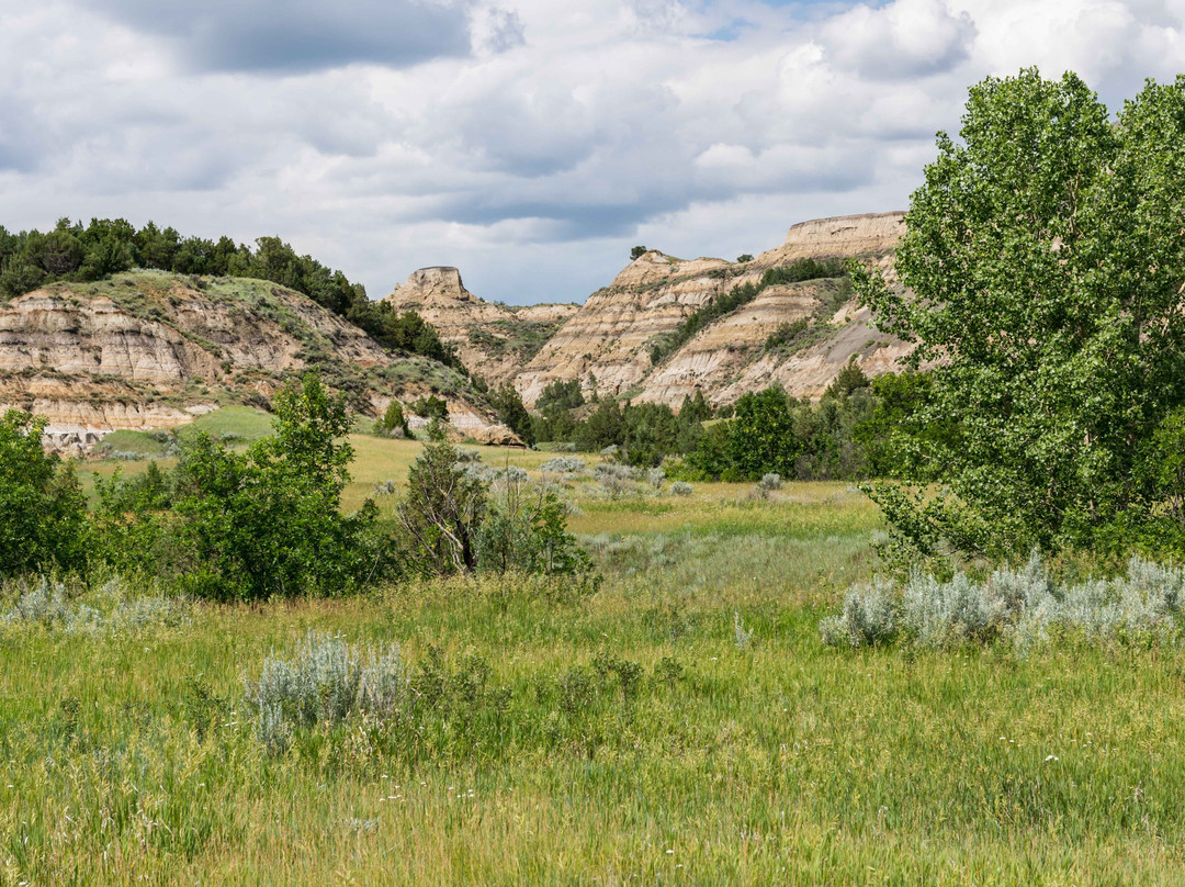Buckhorn Trail-Theodore Roosevelt National Park必去景点