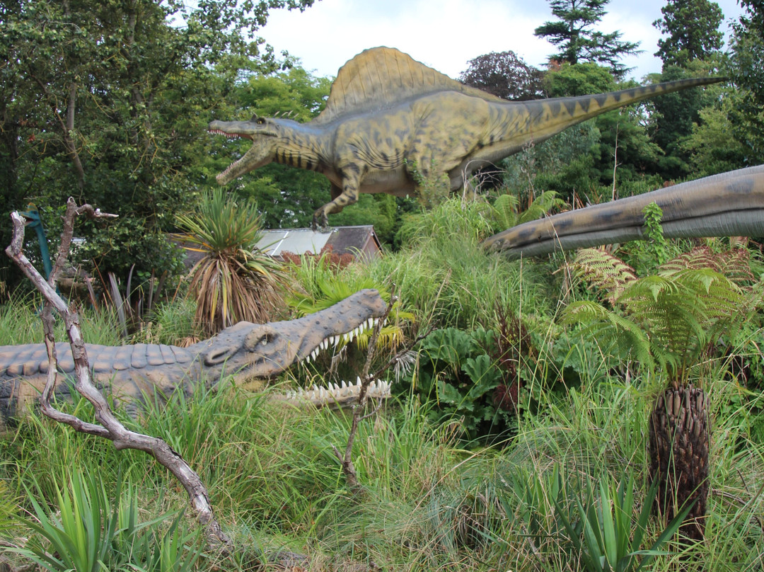 West Midlands Safari Park-Bewdley必去景点