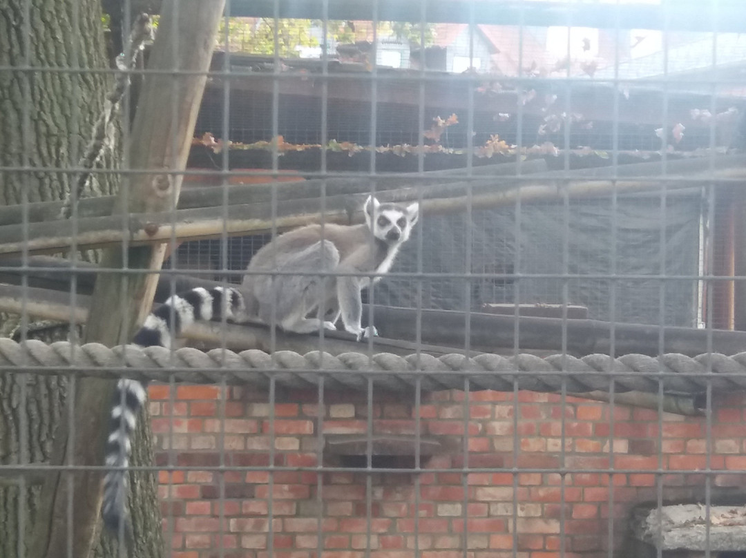 Tierpark景点图片