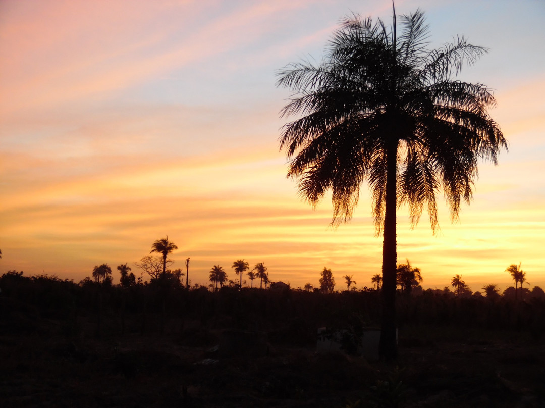 Farakunku Lodges