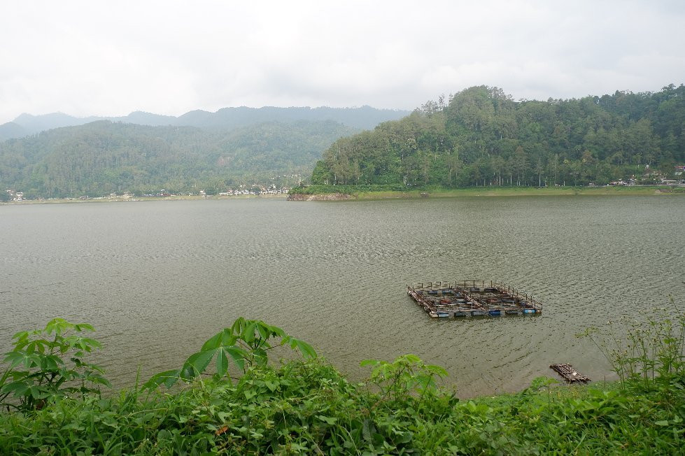 Ngebel Lake景点图片