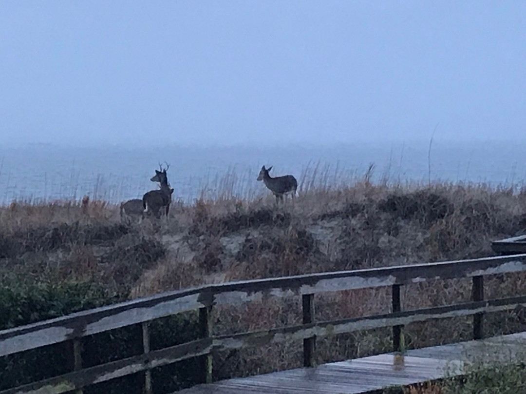 Seabrook Island Club主图