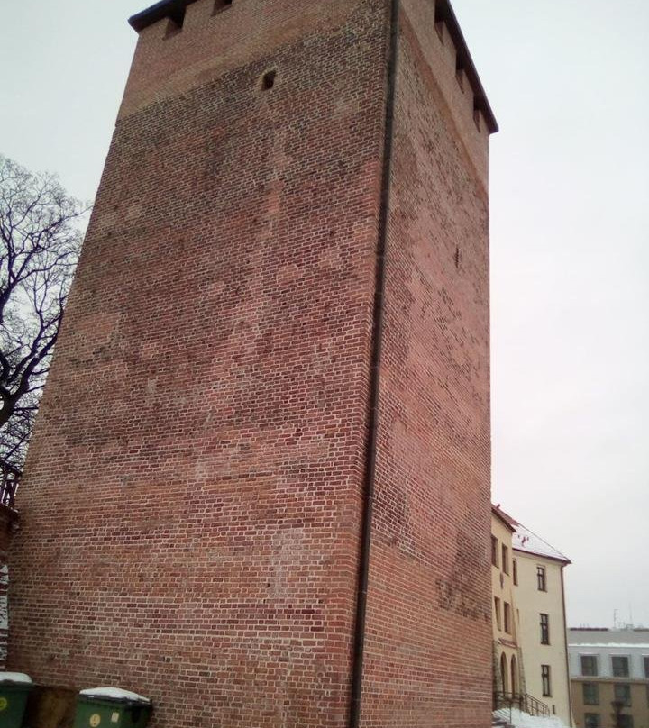 Defense Tower景点图片