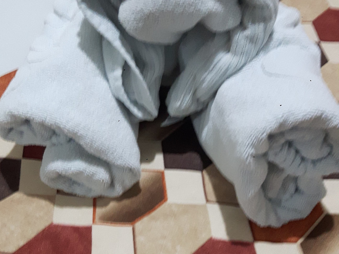 Horlandu's Eco Hotel主图