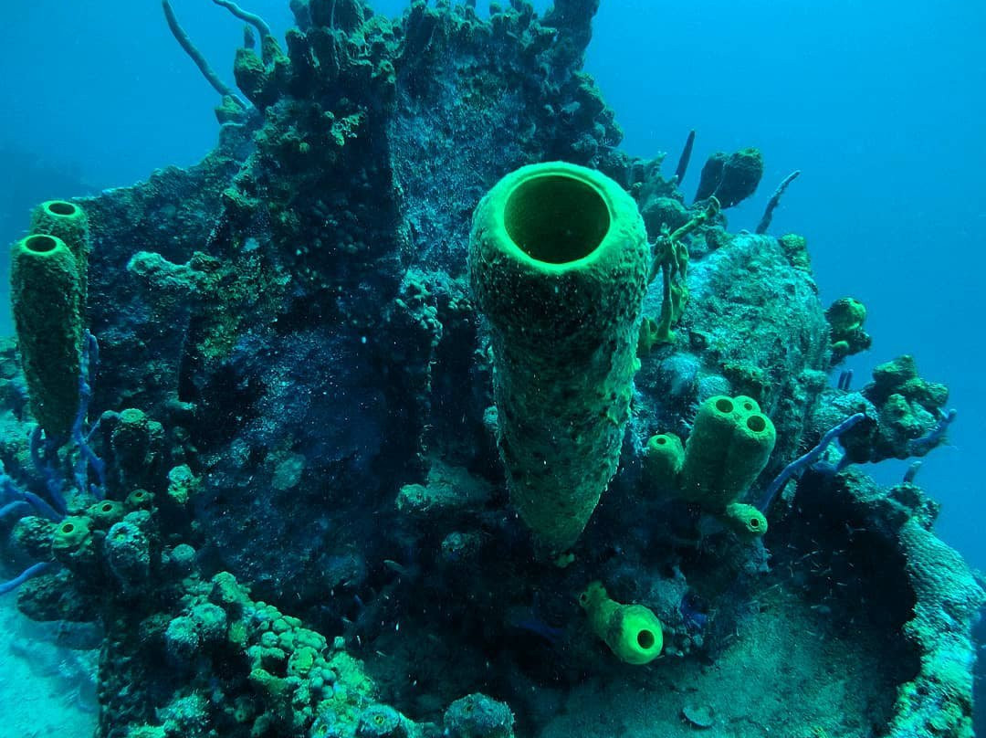 Stavronikita-布里奇顿必去景点