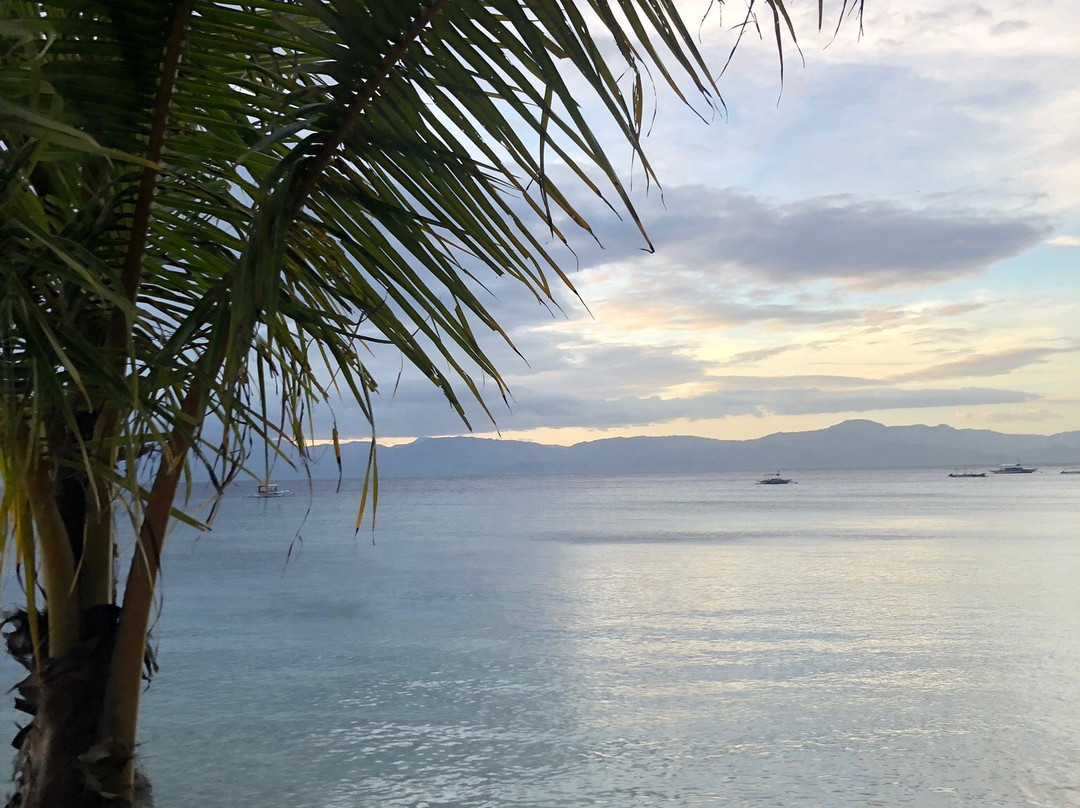 摩尔波尔T微风海滨度假村主图