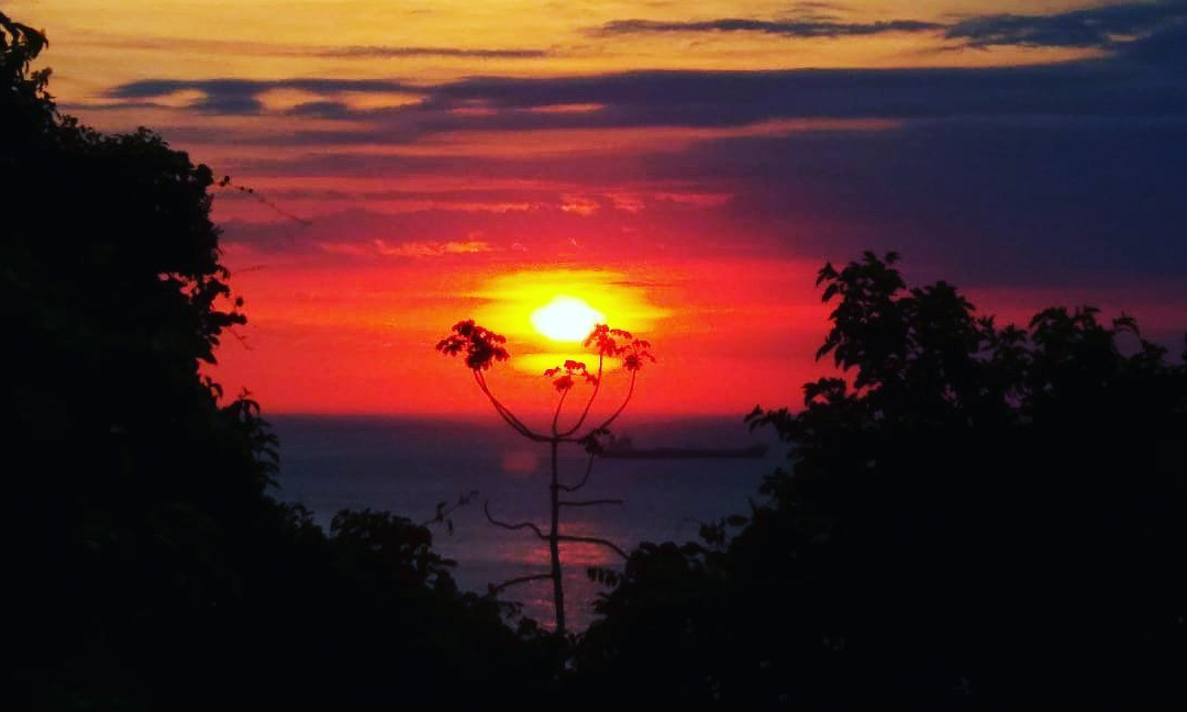 Borrifos旅游攻略图片