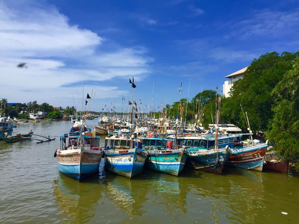 海豚俱乐部饭店主图