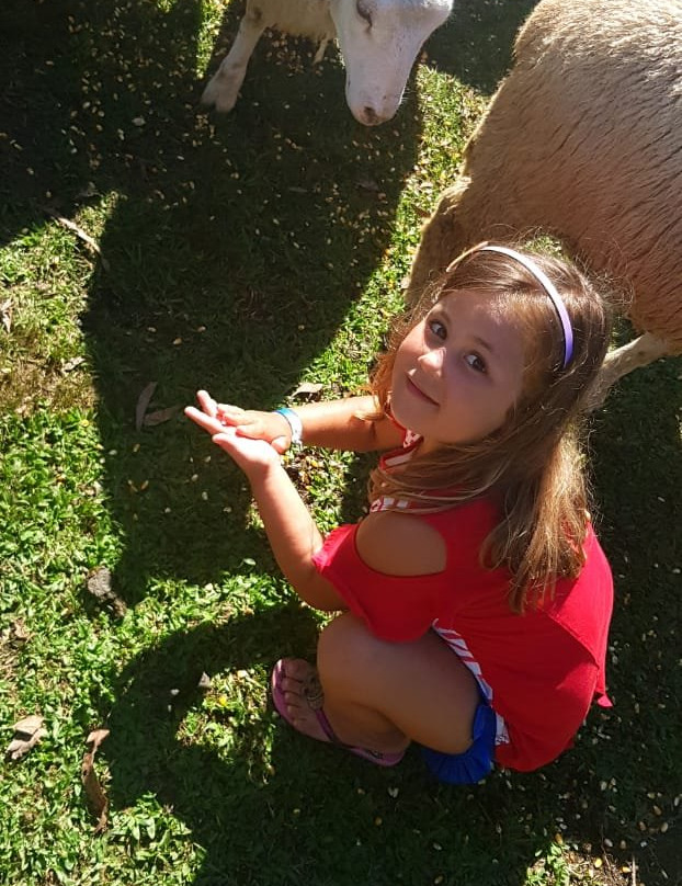 Sesc Pousada Rural em Lages主图