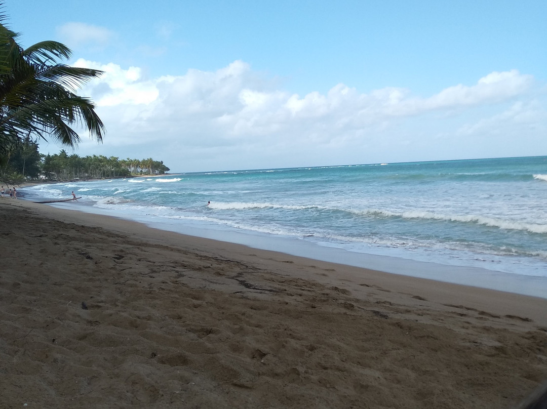 Carolina Surf School-拉斯特拉纳斯必去景点