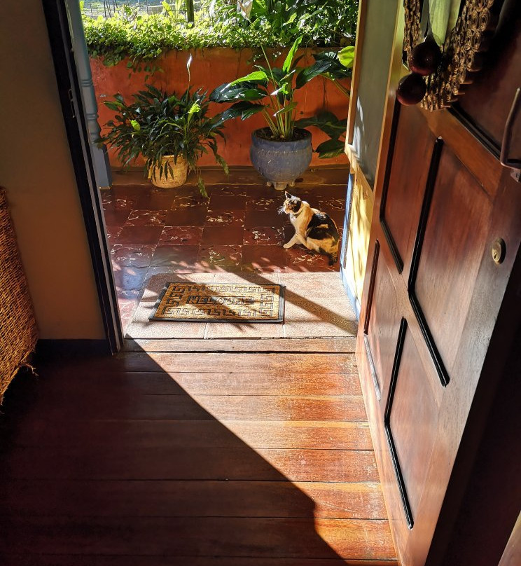 Hotel El Marañón主图