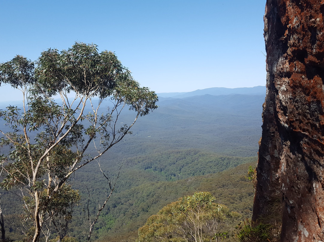 Sandpiper Motel主图