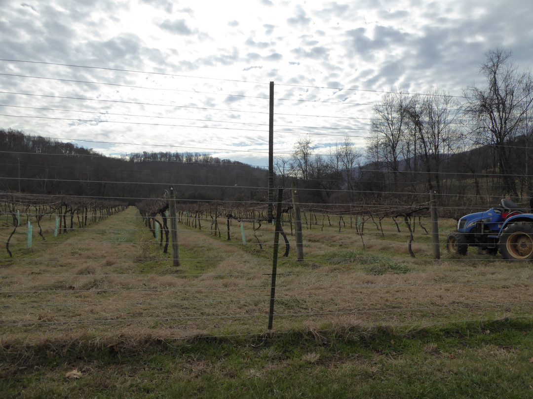 Mountain Cove Vineyards-Lovingston必去景点