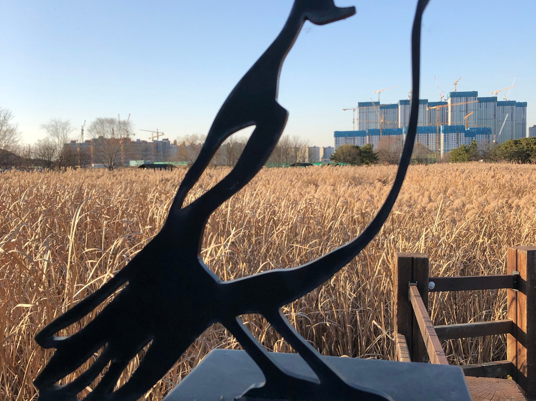 Ansan Reed Wetland-安山市必去景点