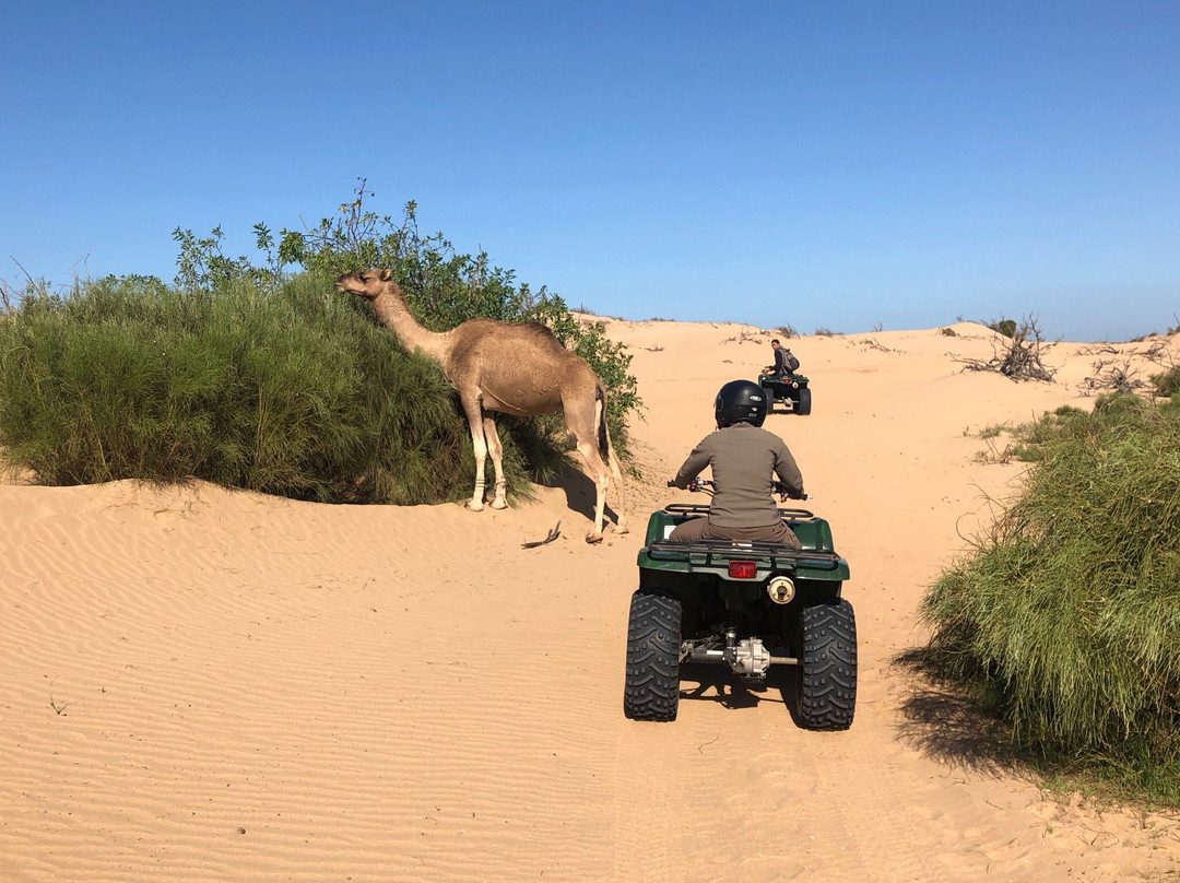 Family Adventure-索维拉必去景点