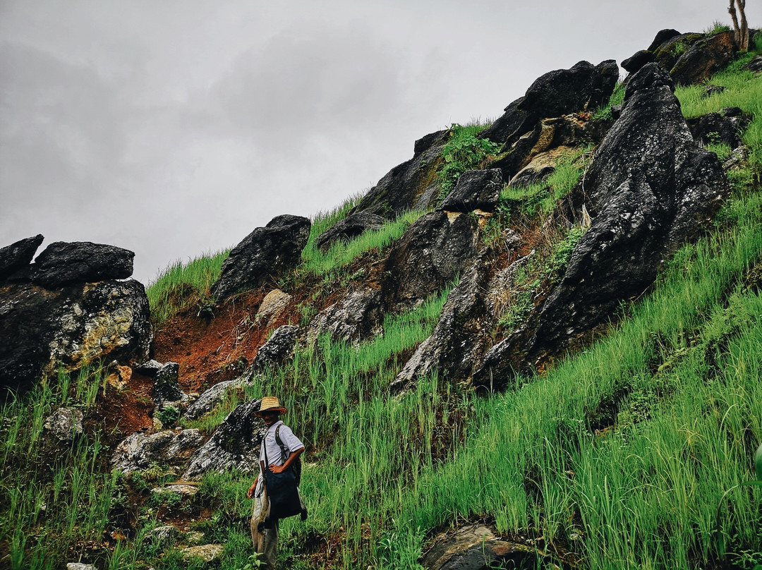 DaiDib DaiDee Permaculture Thailand景点图片