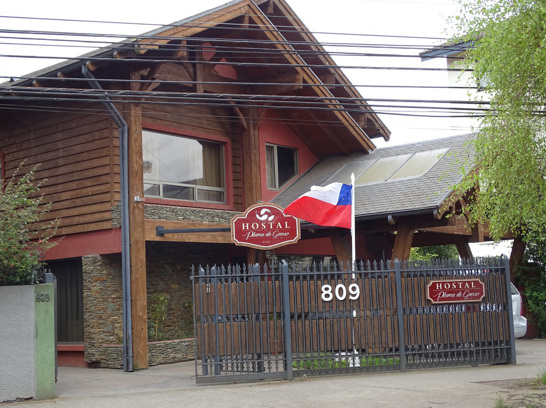 Hostal Pluma de Ganso主图