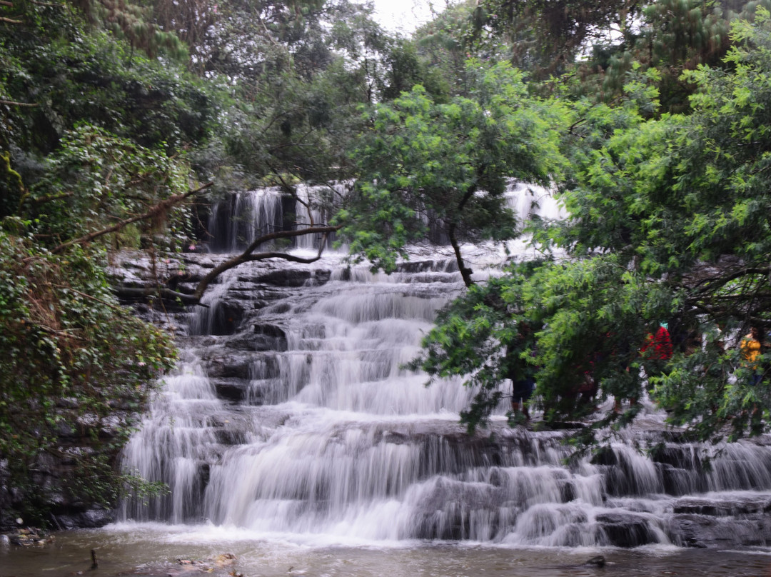 Vattakanal Waterfalls景点图片
