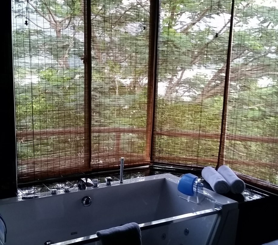 Castle Palace Kandy主图