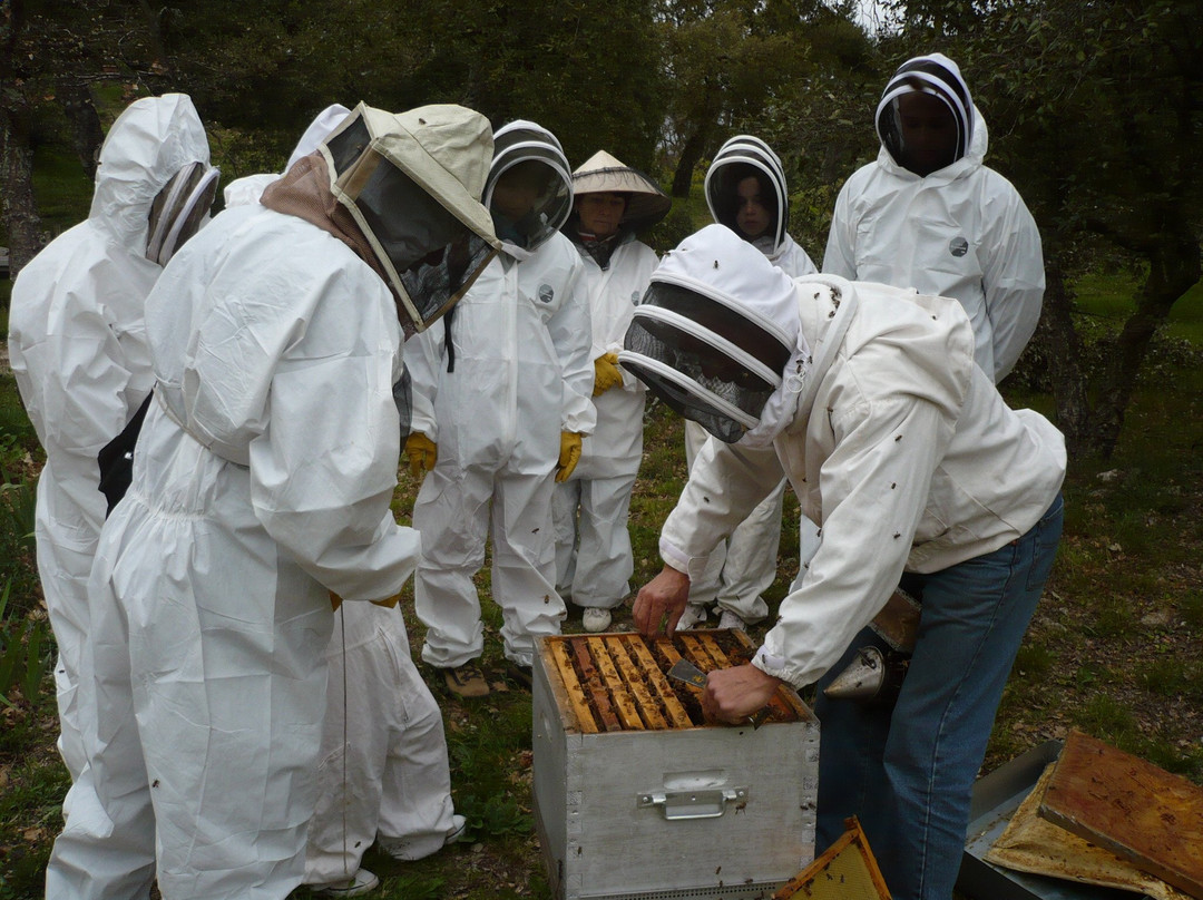 Le Conservatoire du Patrimoine de La Garde-Freinet-La Garde-Freinet必去景点