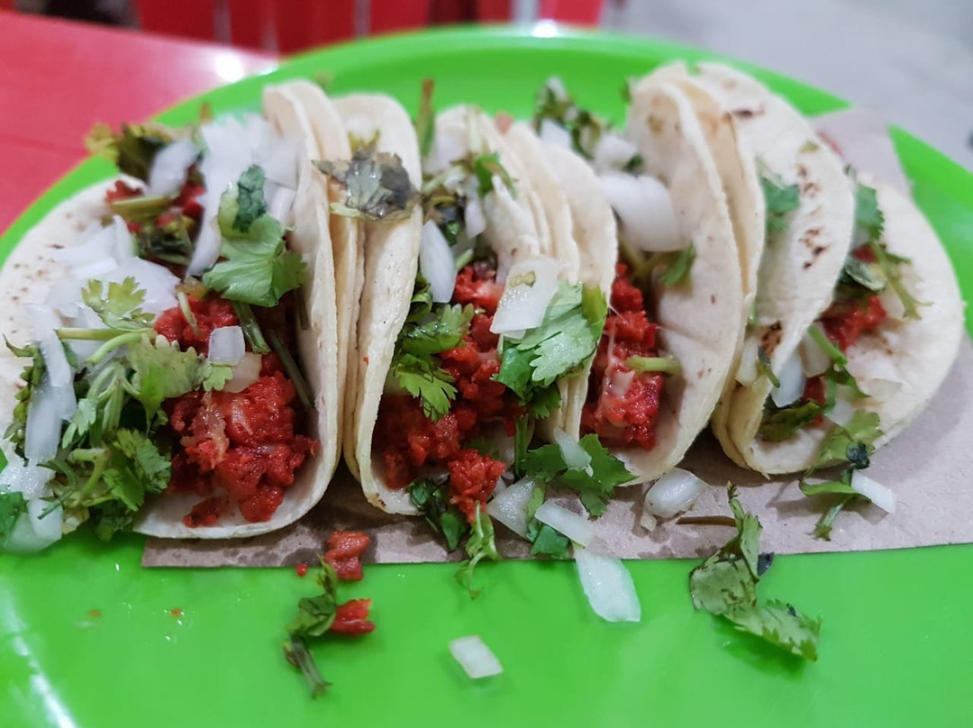 La Cotorra Taquería