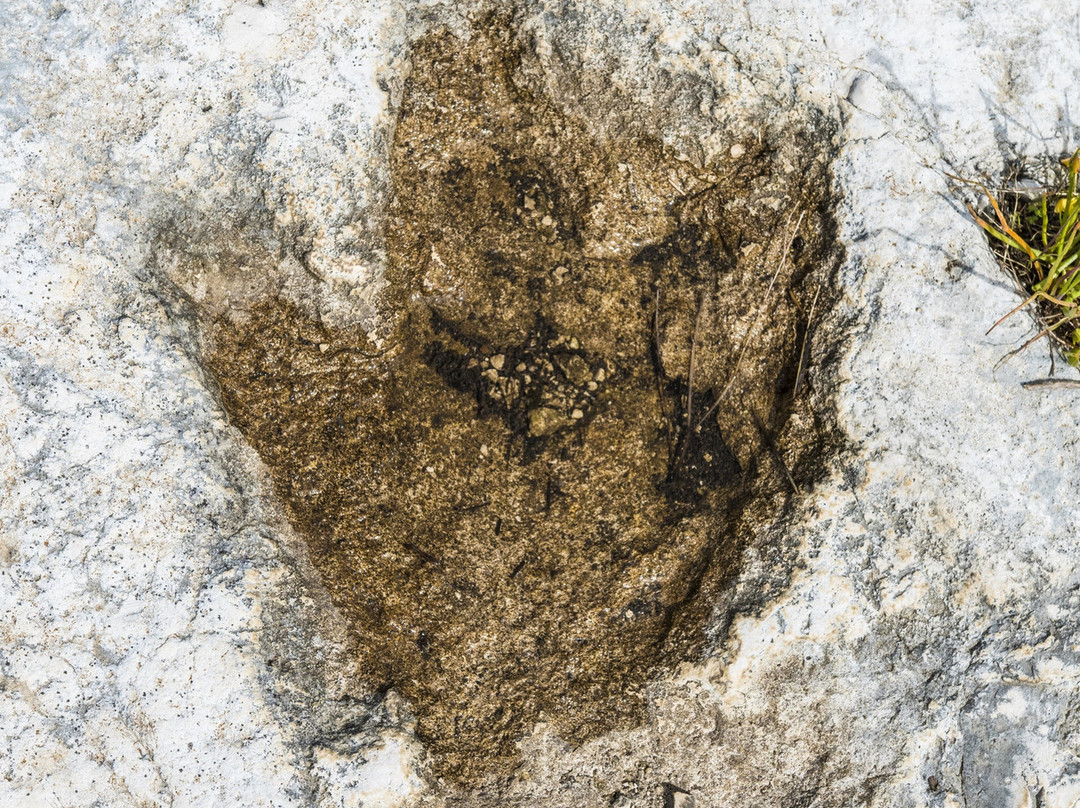 Cava delle Orme dei Dinosauri-莫尔费塔必去景点