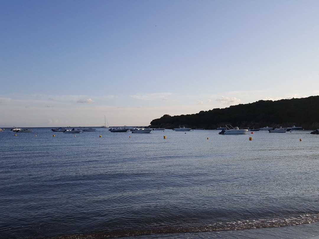 Plage de Furnellu景点图片