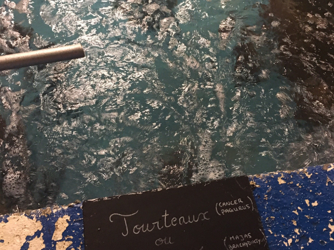 Huitres Henry-Crach必去景点