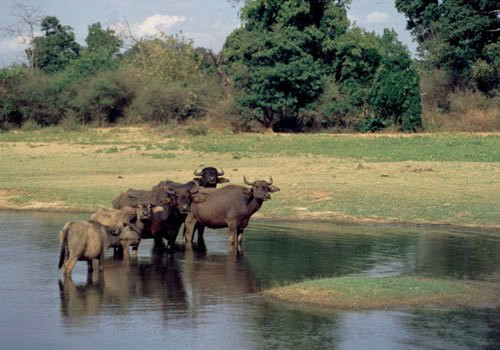 Classical Lanka Tours-Trincomalee必去景点