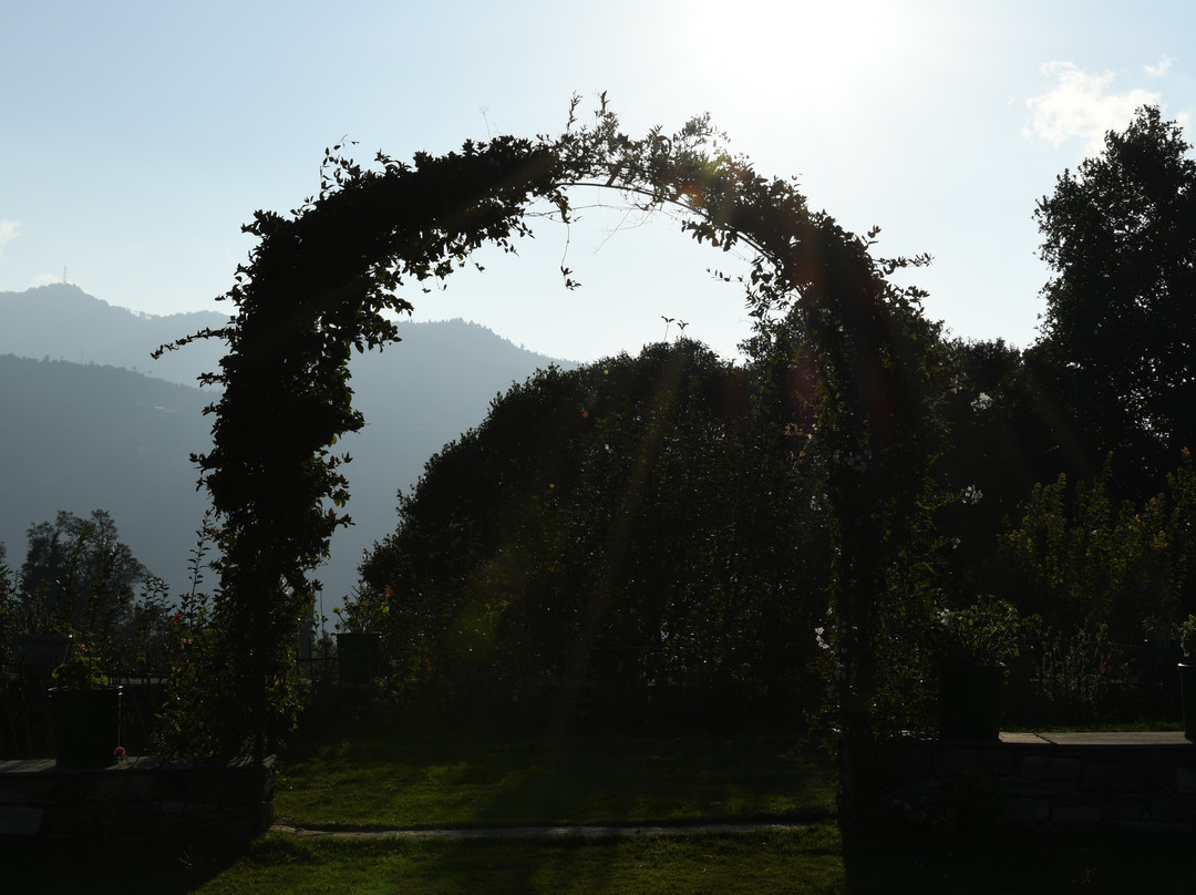 Dyo- The Organic Village Resort主图