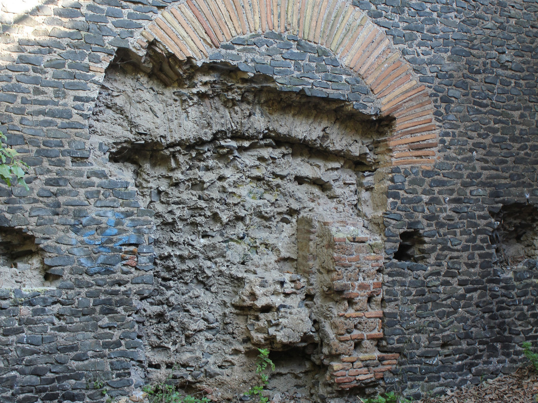 Galeria Antica景点图片