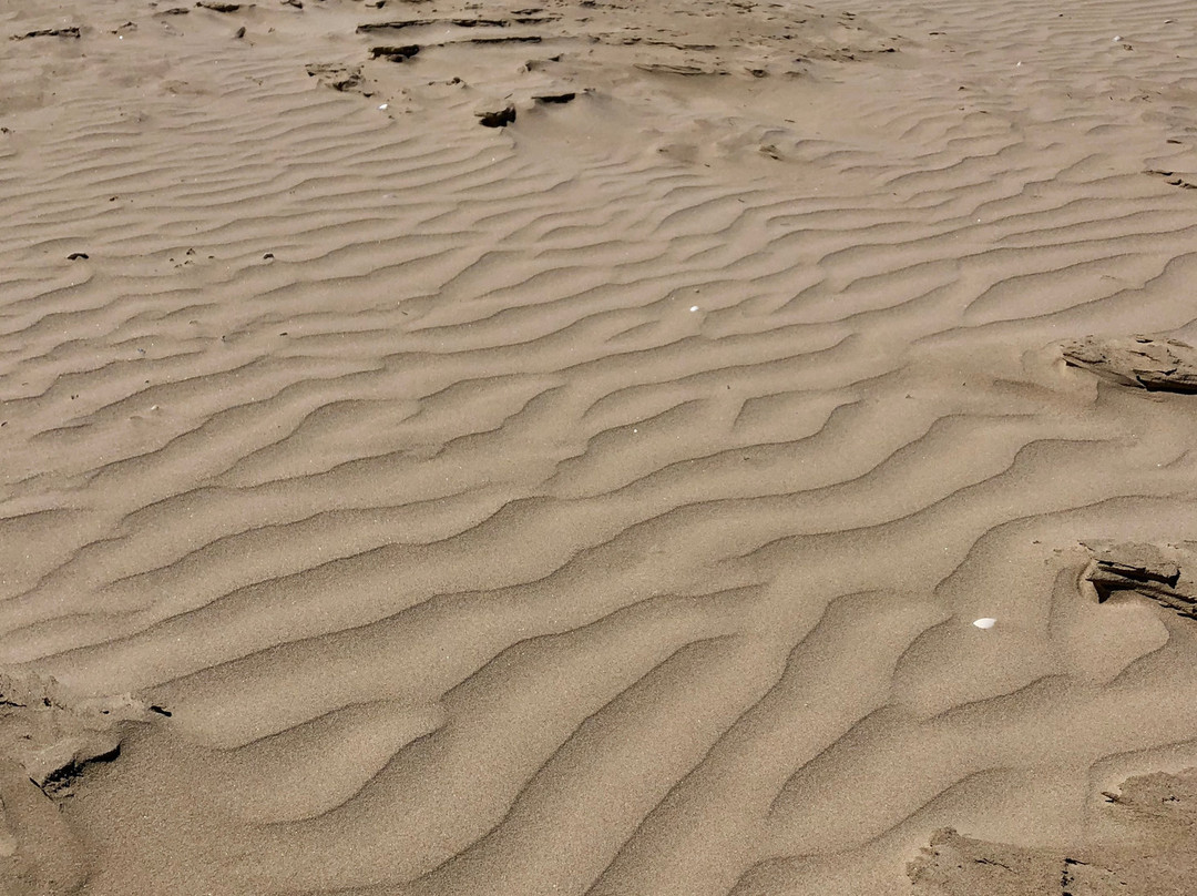 Murray Mouth-Goolwa必去景点