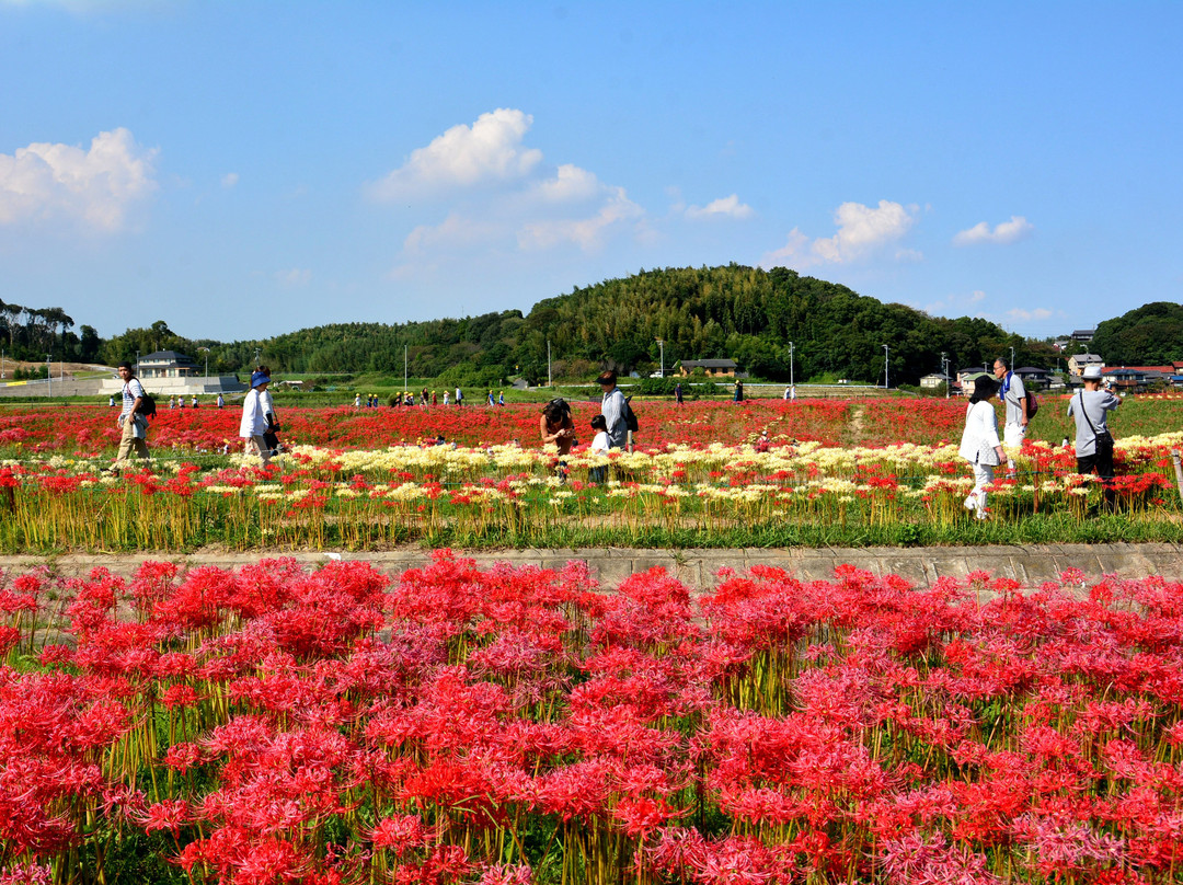 Yakachi River-半田市必去景点