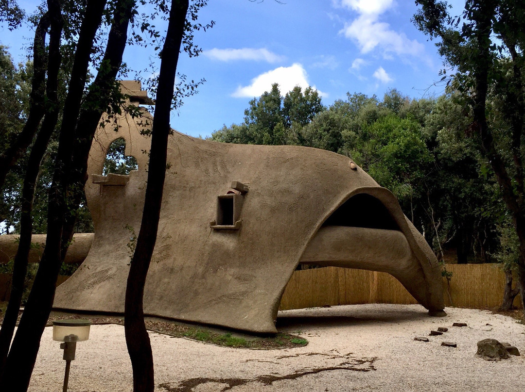 Casa Dinosauro Baratti景点图片