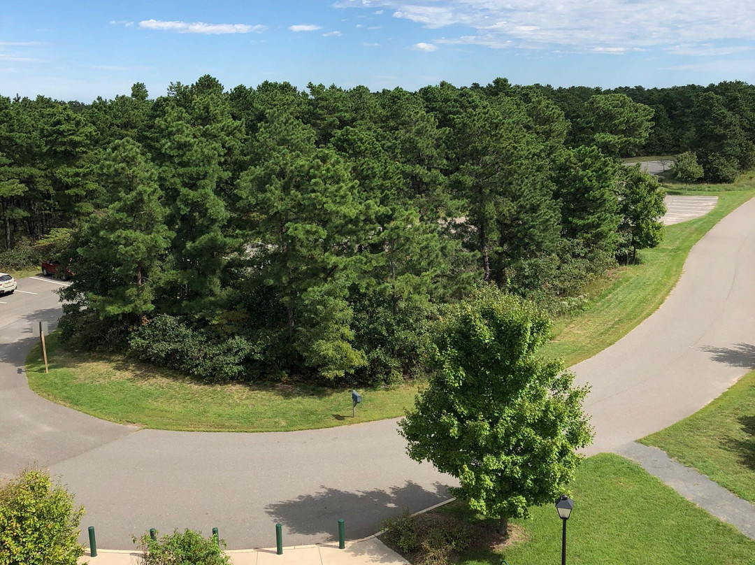 Jakes Branch County Park-Beachwood必去景点