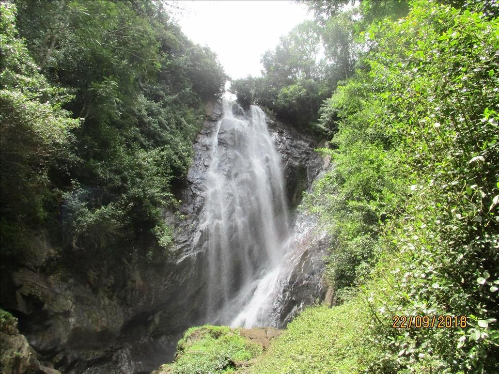 Mohini falls景点图片