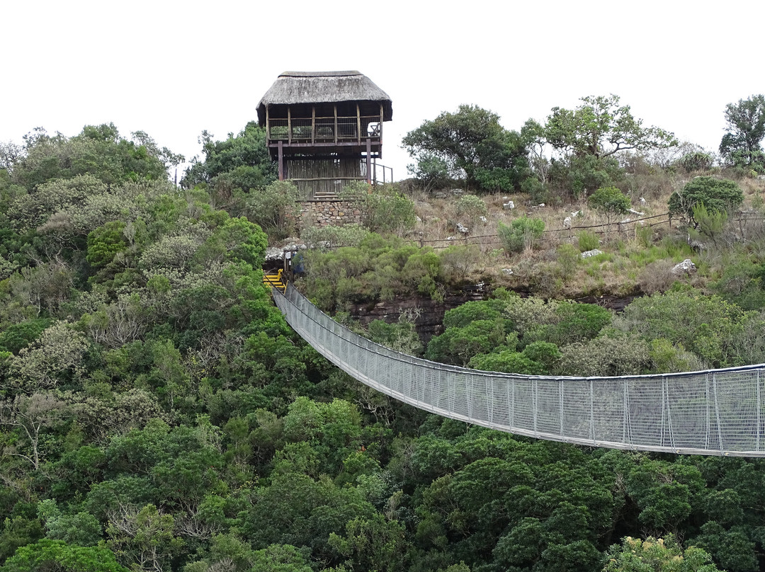 Oribi Gorge Nature Reserve景点图片