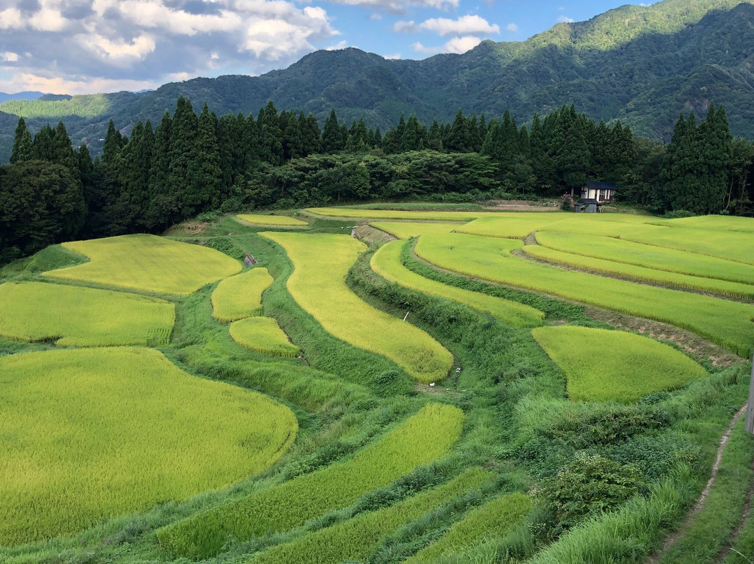 Rice terrace, Mt.Ue-香美町必去景点