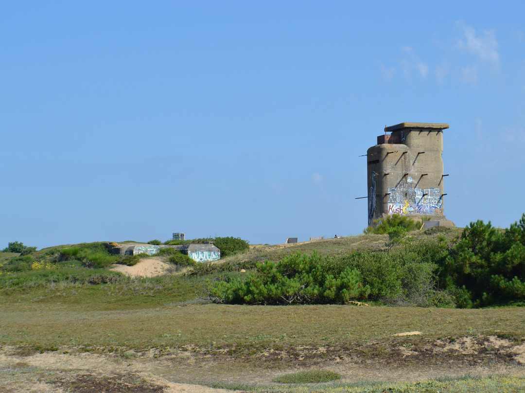 Site du Bégo