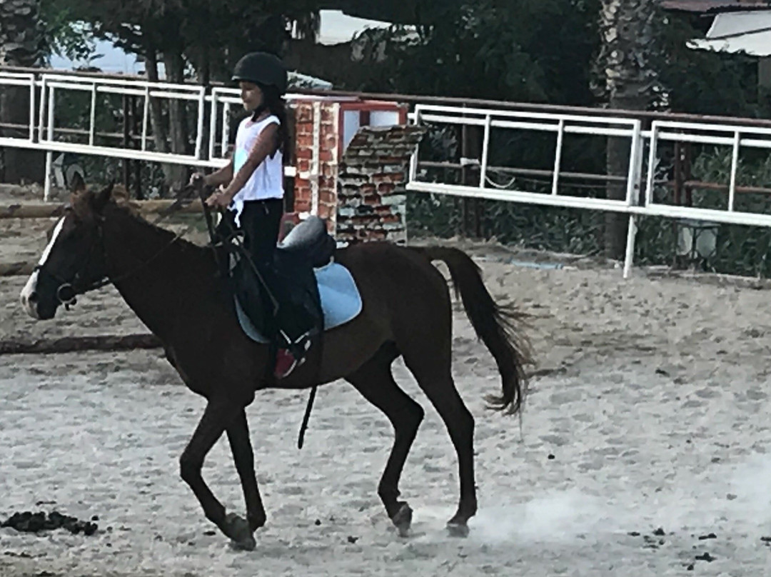 Turgutreis Countryranch Atli Spor Kulubu景点图片