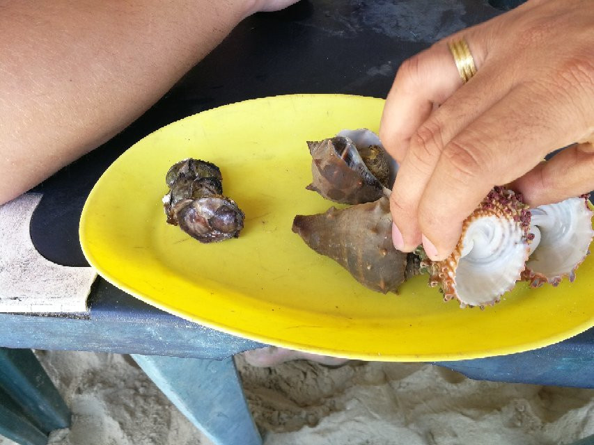 Bahia de Patanemo-Puerto Cabello必去景点