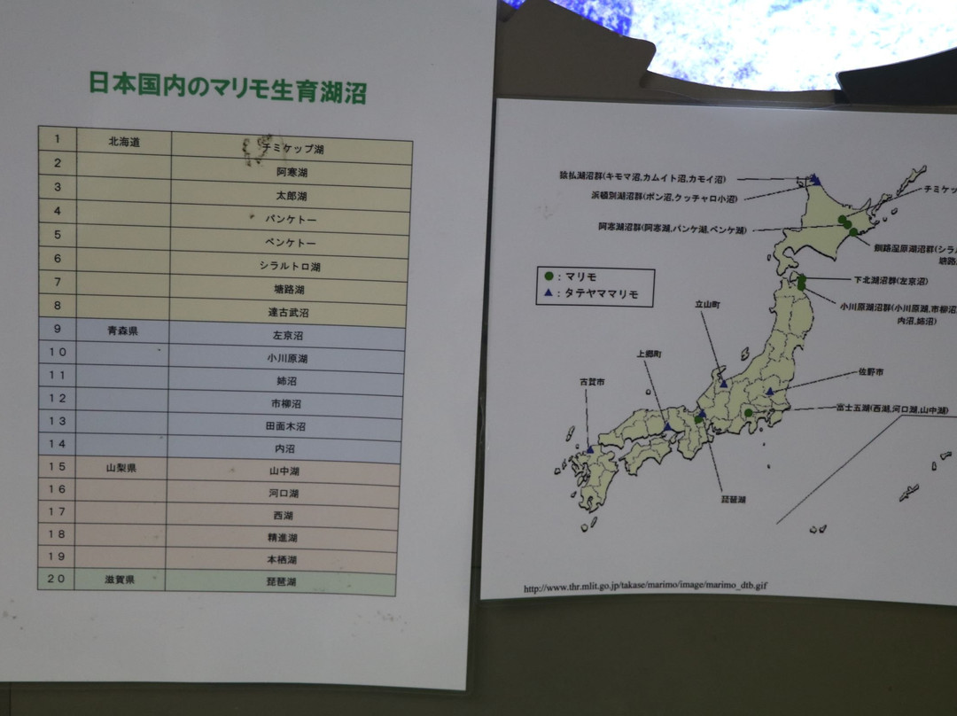 Marimo Exhibition and Observation Center-钏路市必去景点