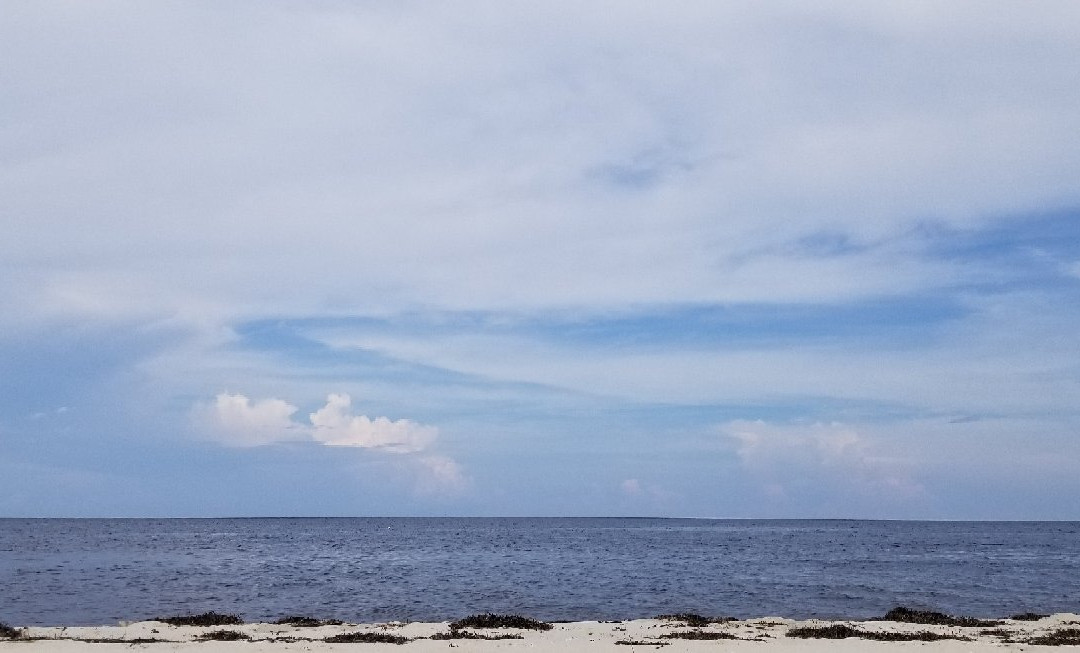 Bald Point State Park-Alligator Point必去景点