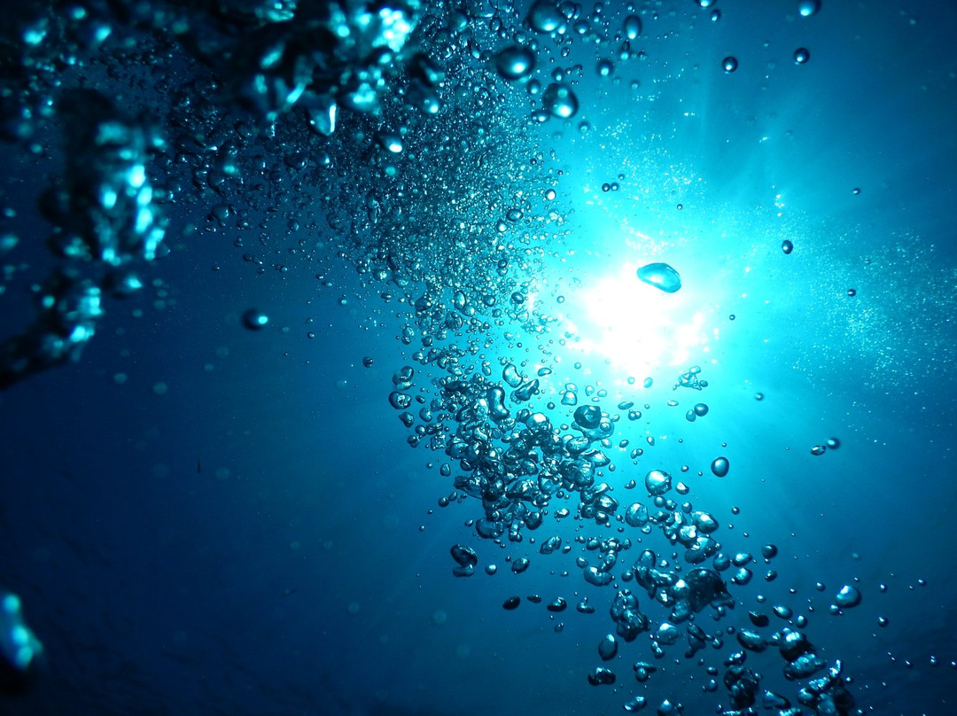 Plongée Malte-圣保罗湾城必去景点