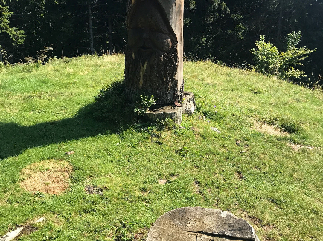 Partenza per il Sentiero del Bosco Incantato景点图片